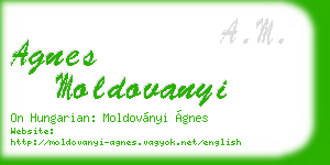 agnes moldovanyi business card
