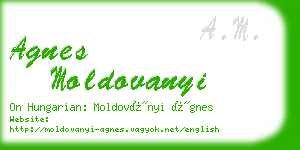agnes moldovanyi business card
